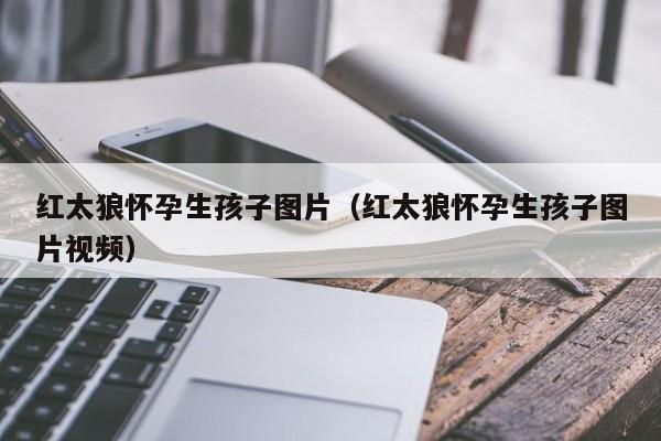 代生微信群红太狼怀孕生代怀代生套餐生的孩子图片（红太狼怀孕生代怀代生套餐生的孩子图片视频）